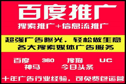 SEM推广案例：揭秘高ROI背后的策略与实践